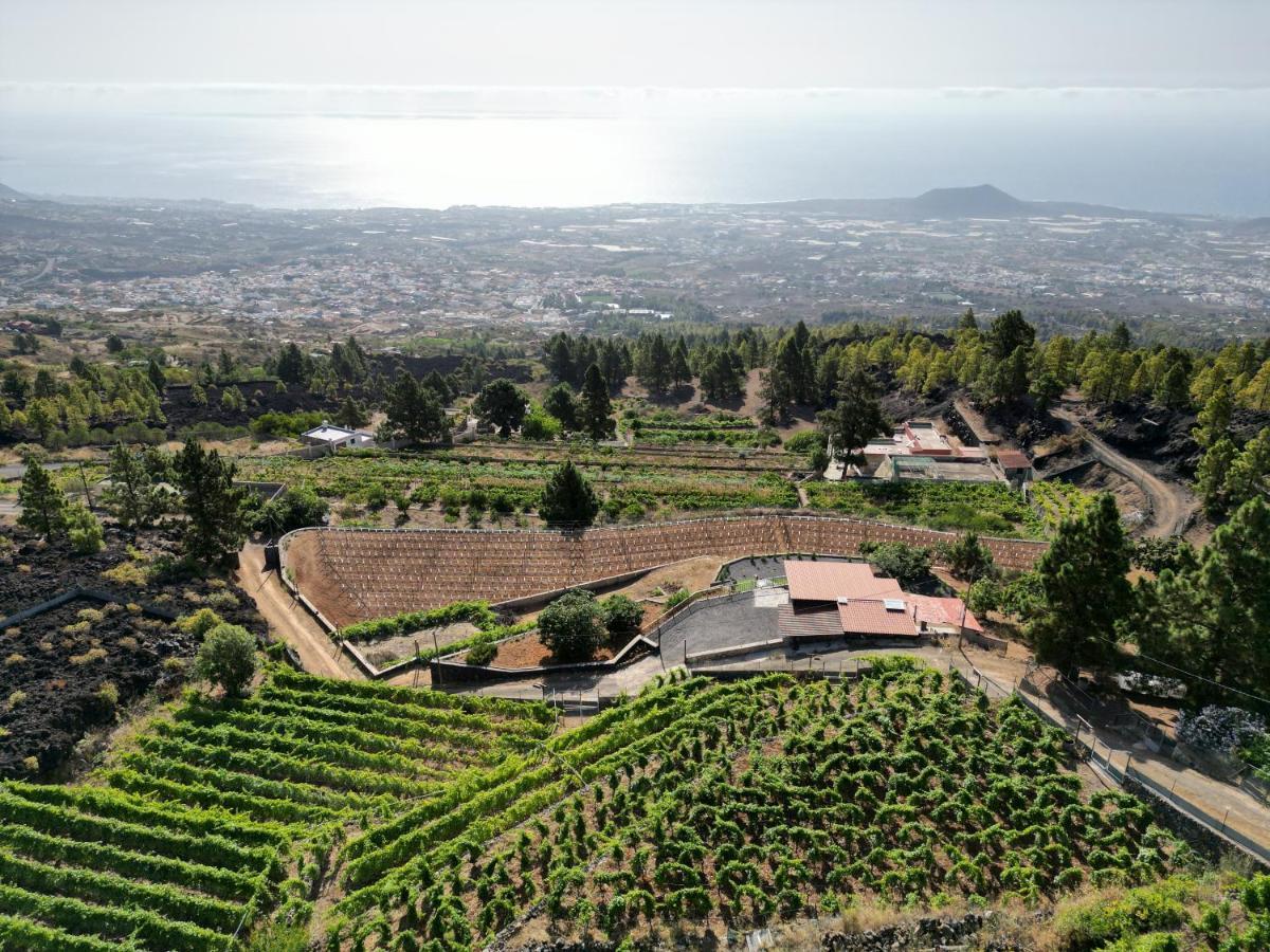 Finca Ecologica Ferrera. Alojamiento Rural. Villa Arafo Exterior photo